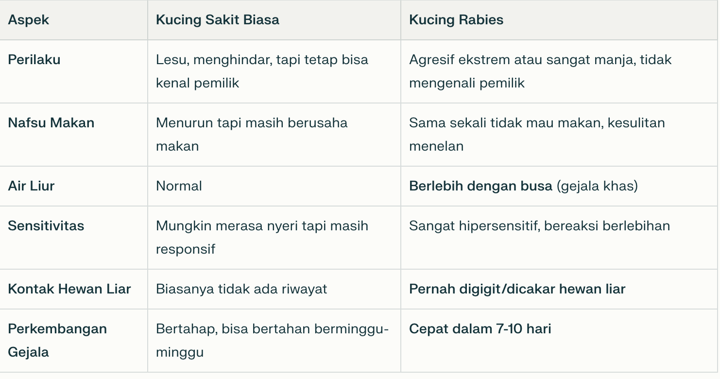 tabel perbedaan kucing sakit biasa vs rabies